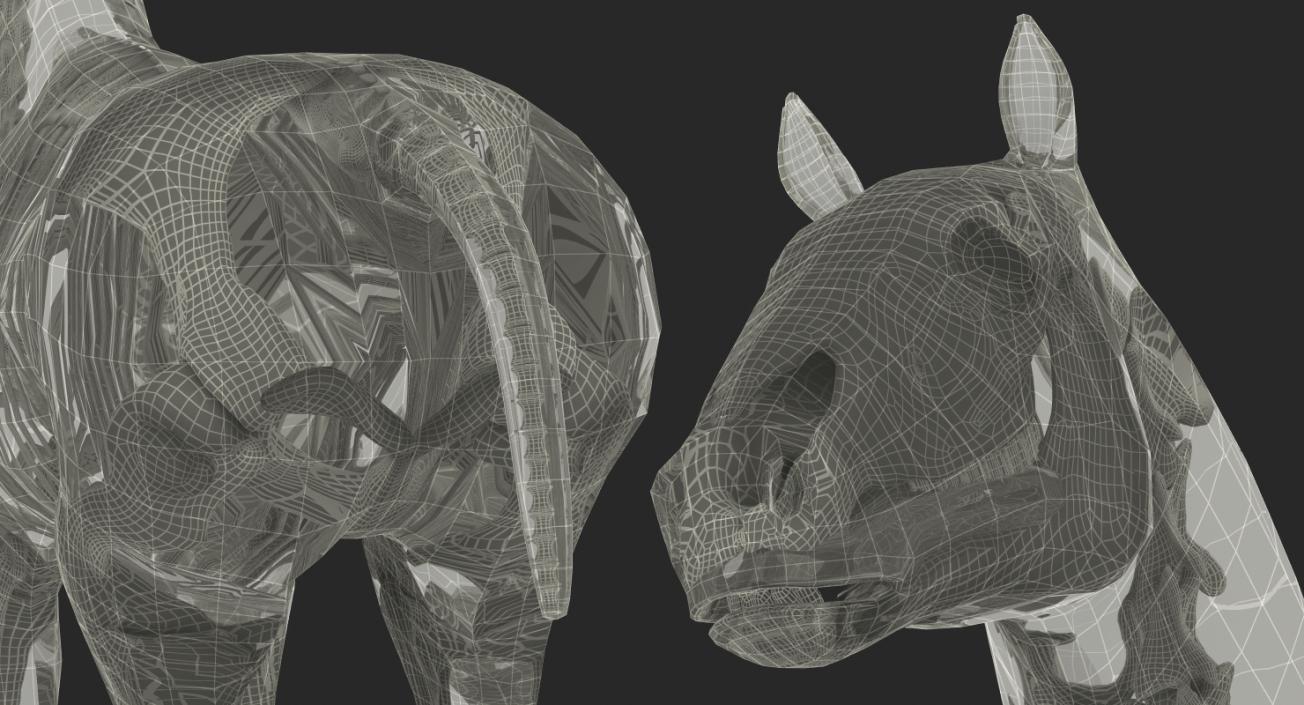 3D Horse Envelope with Skeleton Neutral Pose