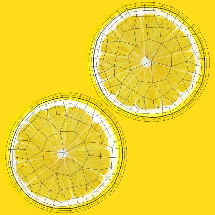 Lemon Round Slice 3D