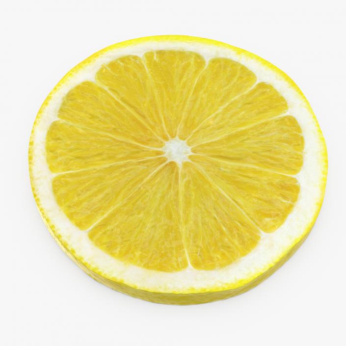 Lemon Round Slice 3D