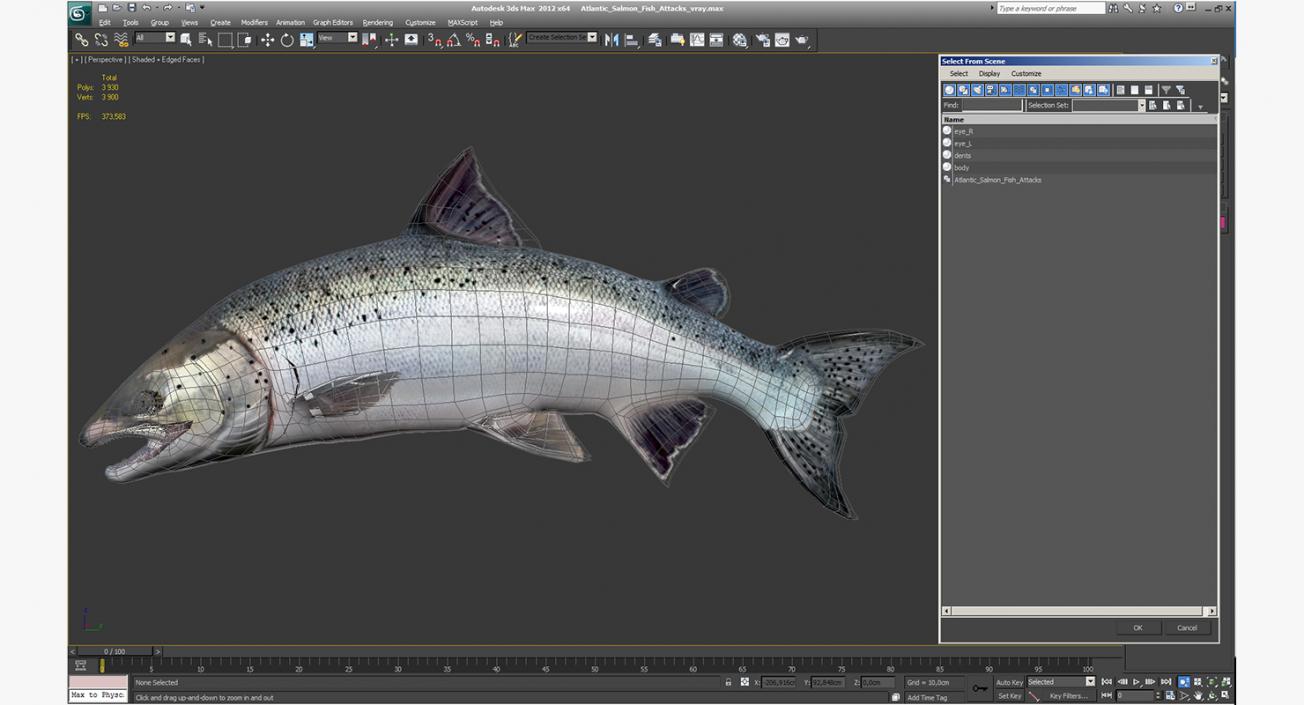 3D Atlantic Salmon Fish Attacks model