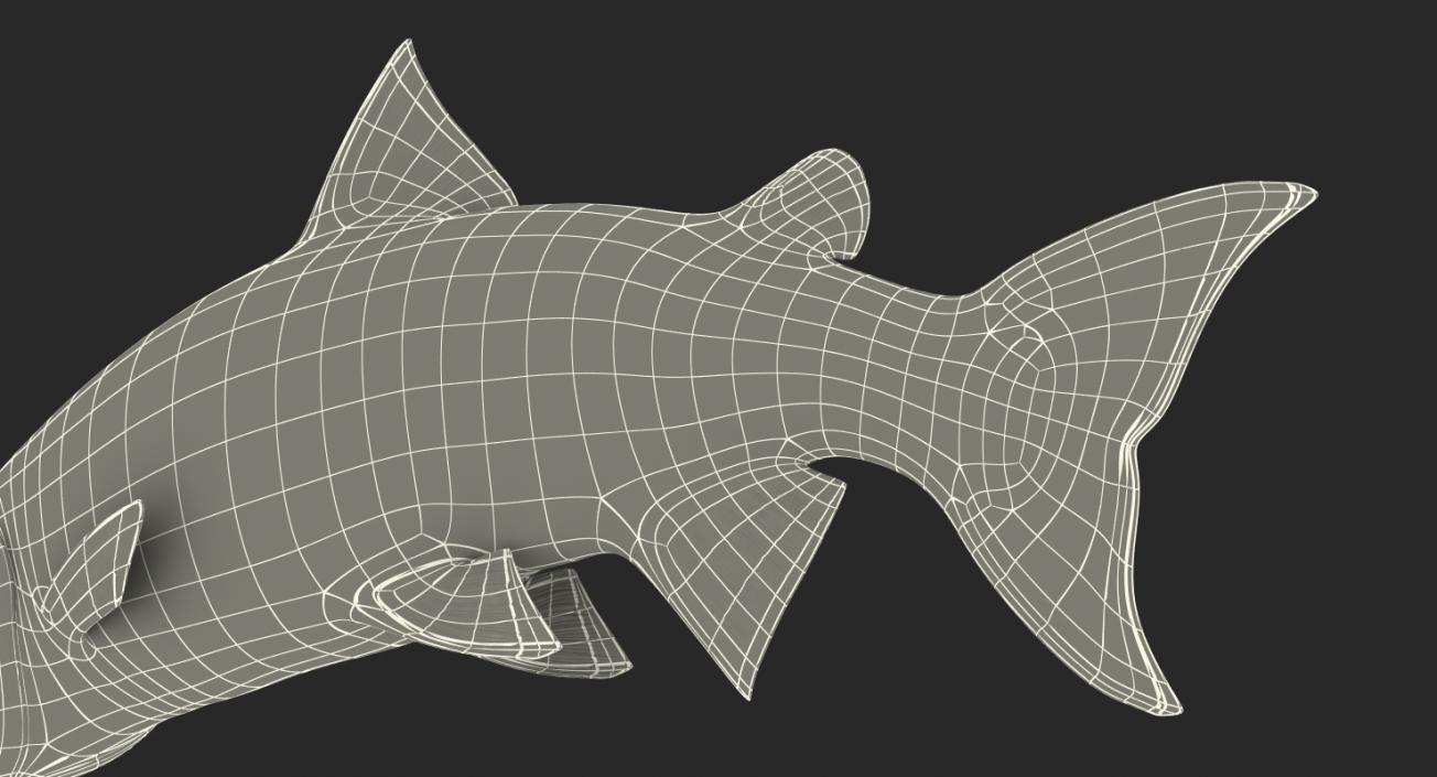 3D Atlantic Salmon Fish Attacks model