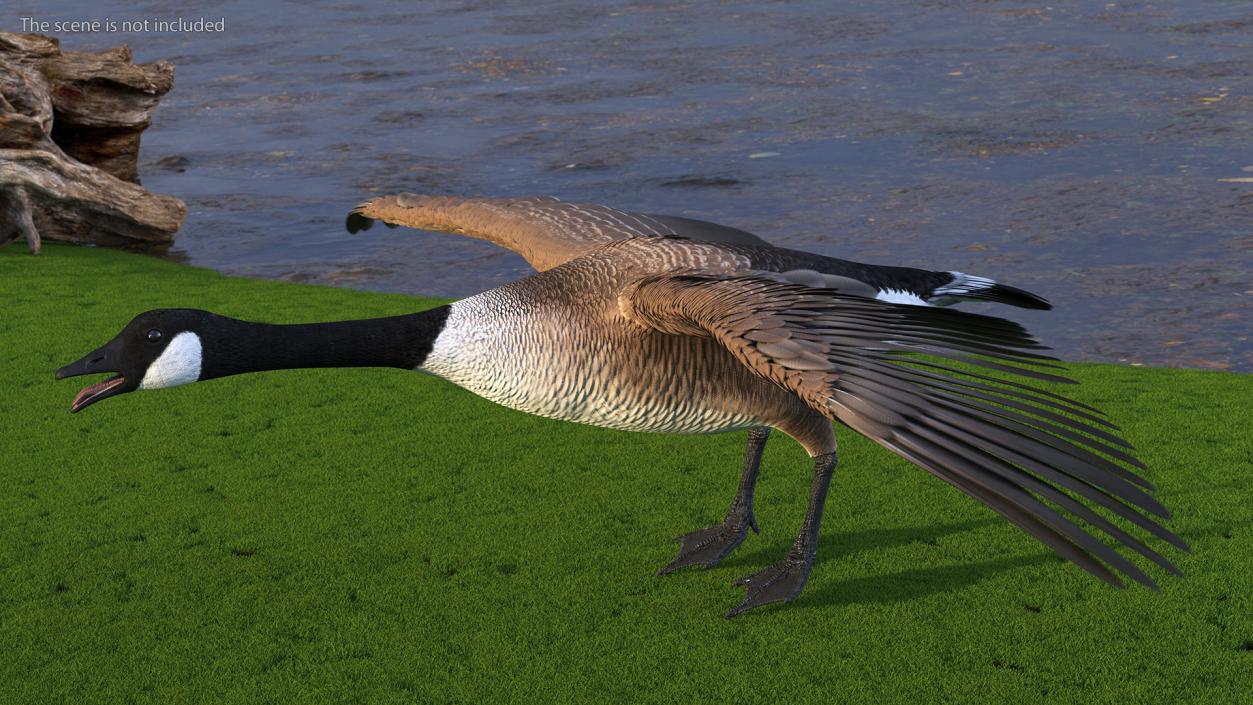 3D model Wild Goose