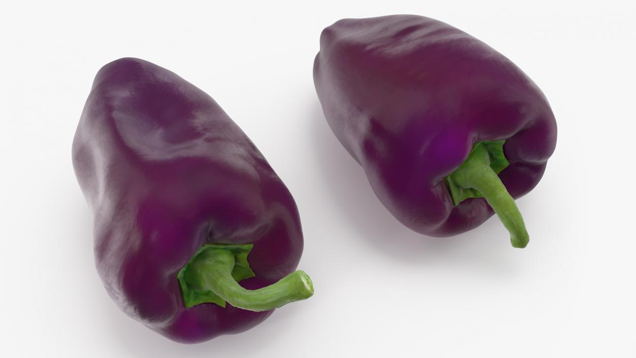 3D Purple Pepper Marconi