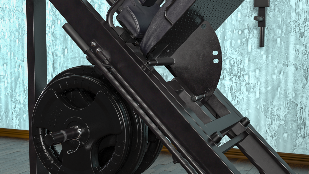 3D Leg Press and Hack Squat Machine with Plates Set model