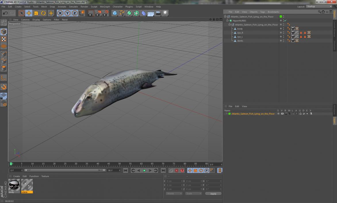 Atlantic Salmon Fish Lying on the Floor 3D model