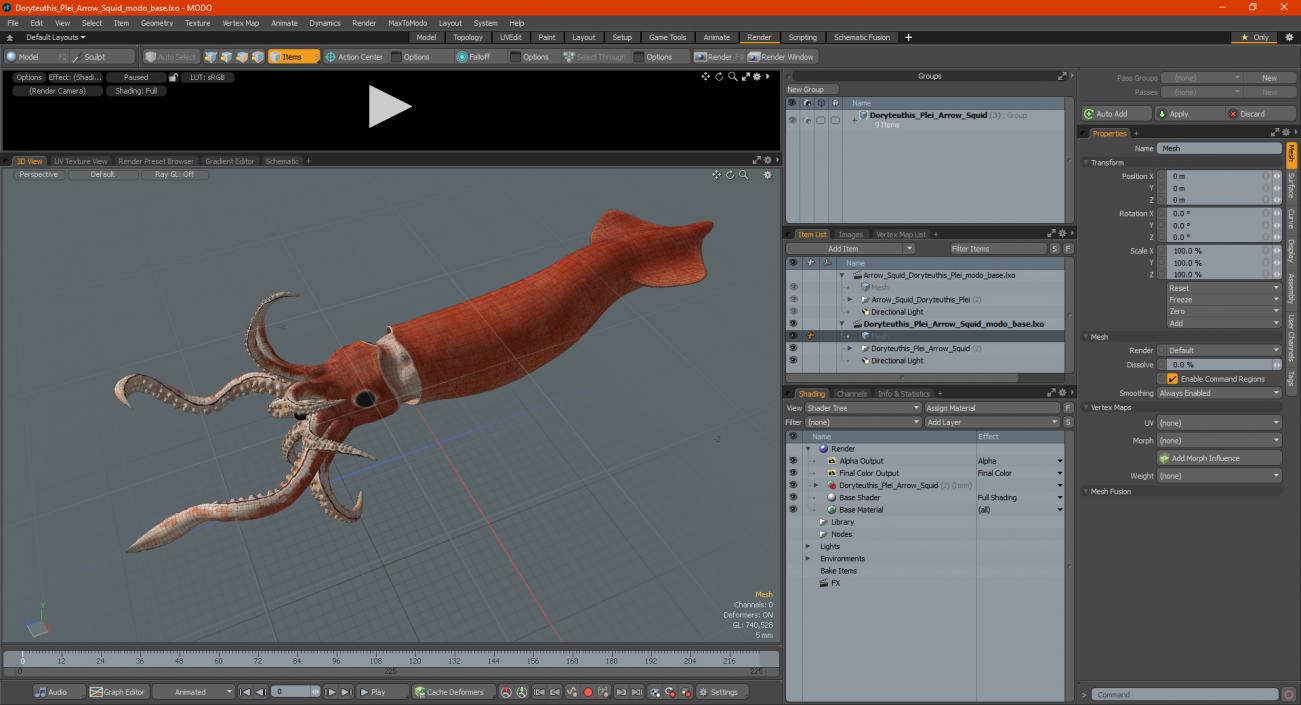 3D Doryteuthis Plei Arrow Squid model