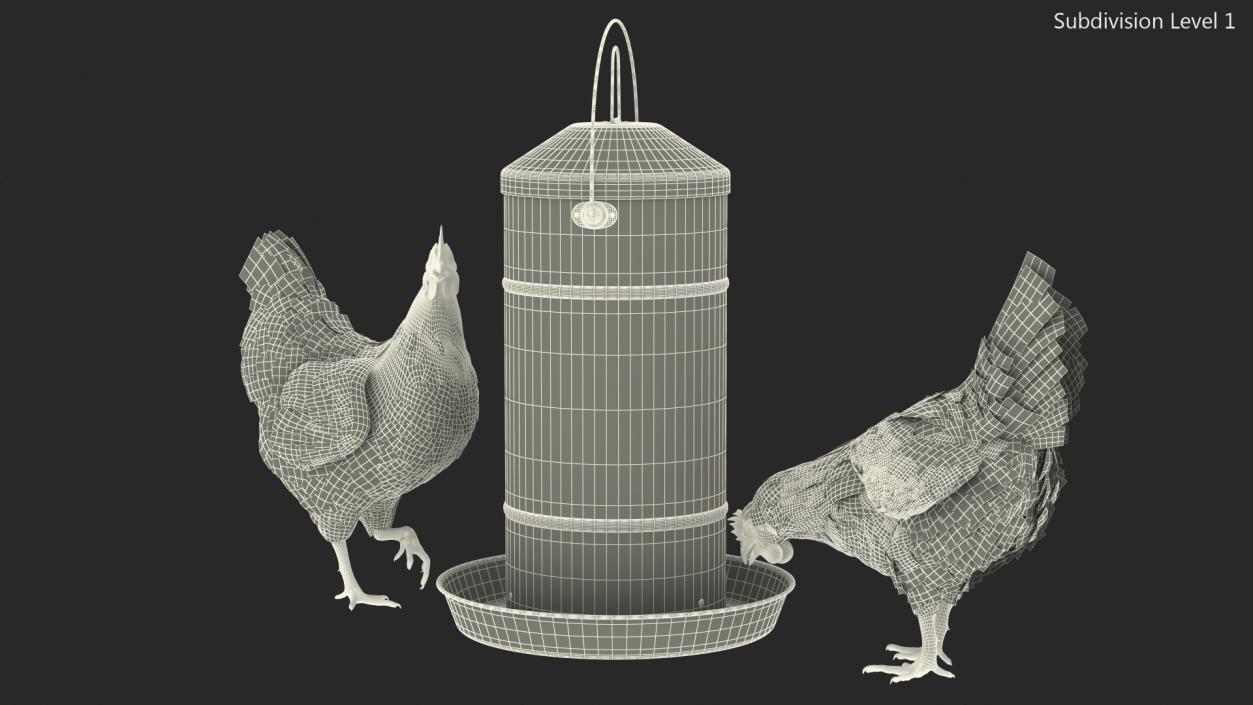 3D Poultry Feeder with Chickens model