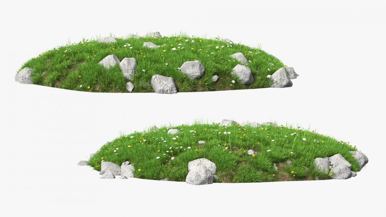 3D Meadow with Blooming Flowers model