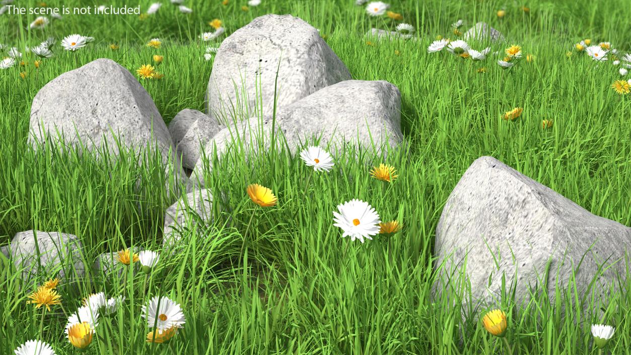 3D Meadow with Blooming Flowers model