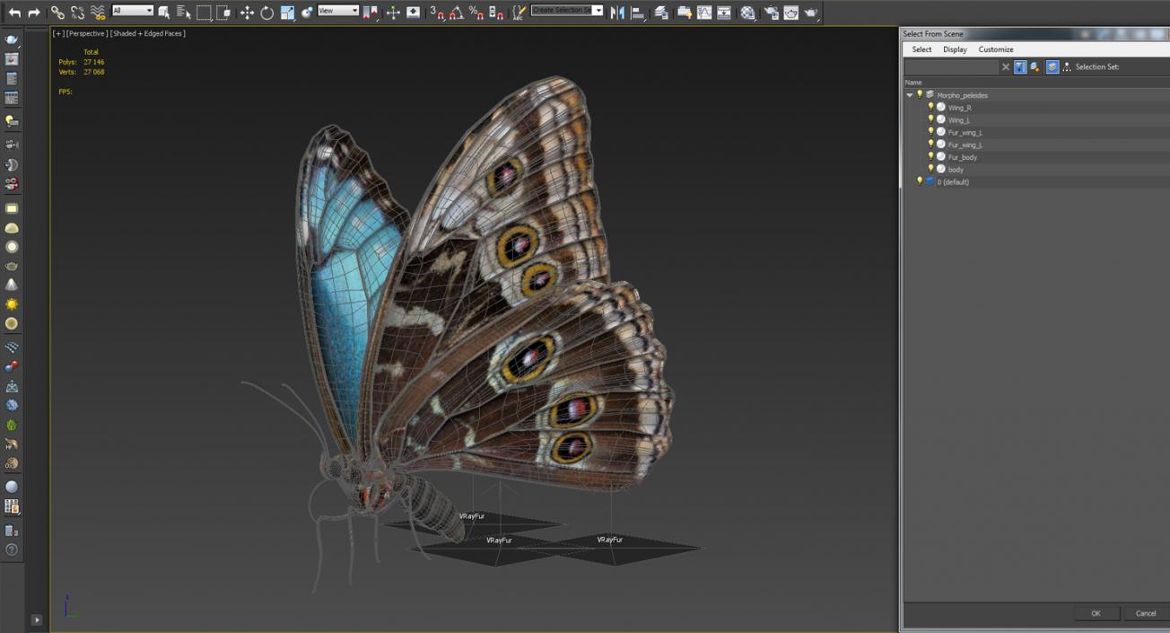 Peleides Blue Morpho Butterfly with Fur 3D model