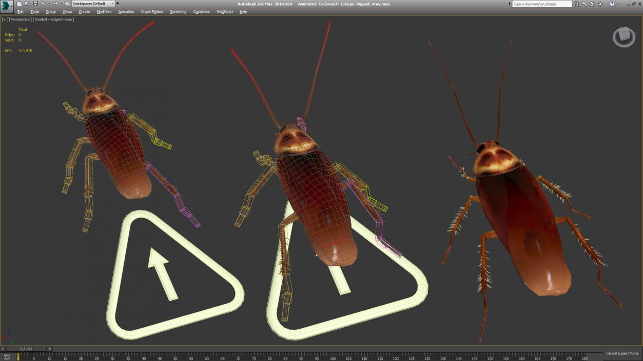 Animated Cockroach Creeps Rigged 3D