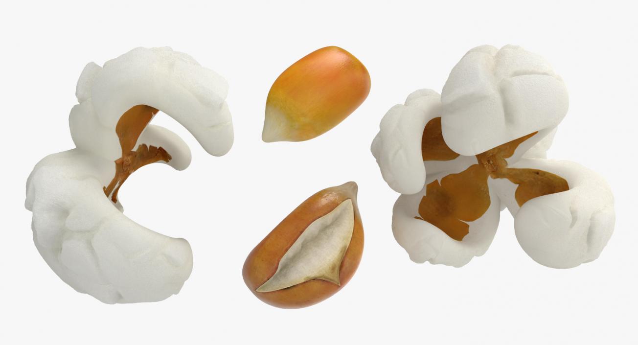 3D Popcorn Evolution Set