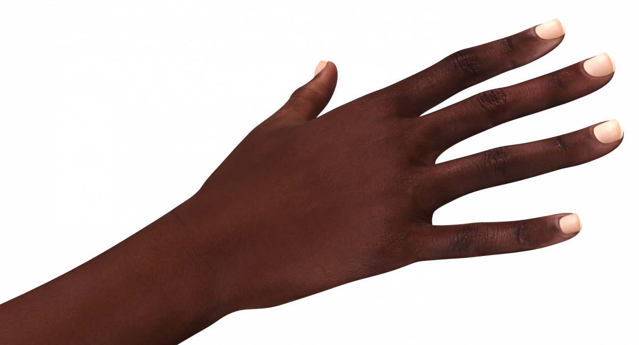 African Female Hand 3D model