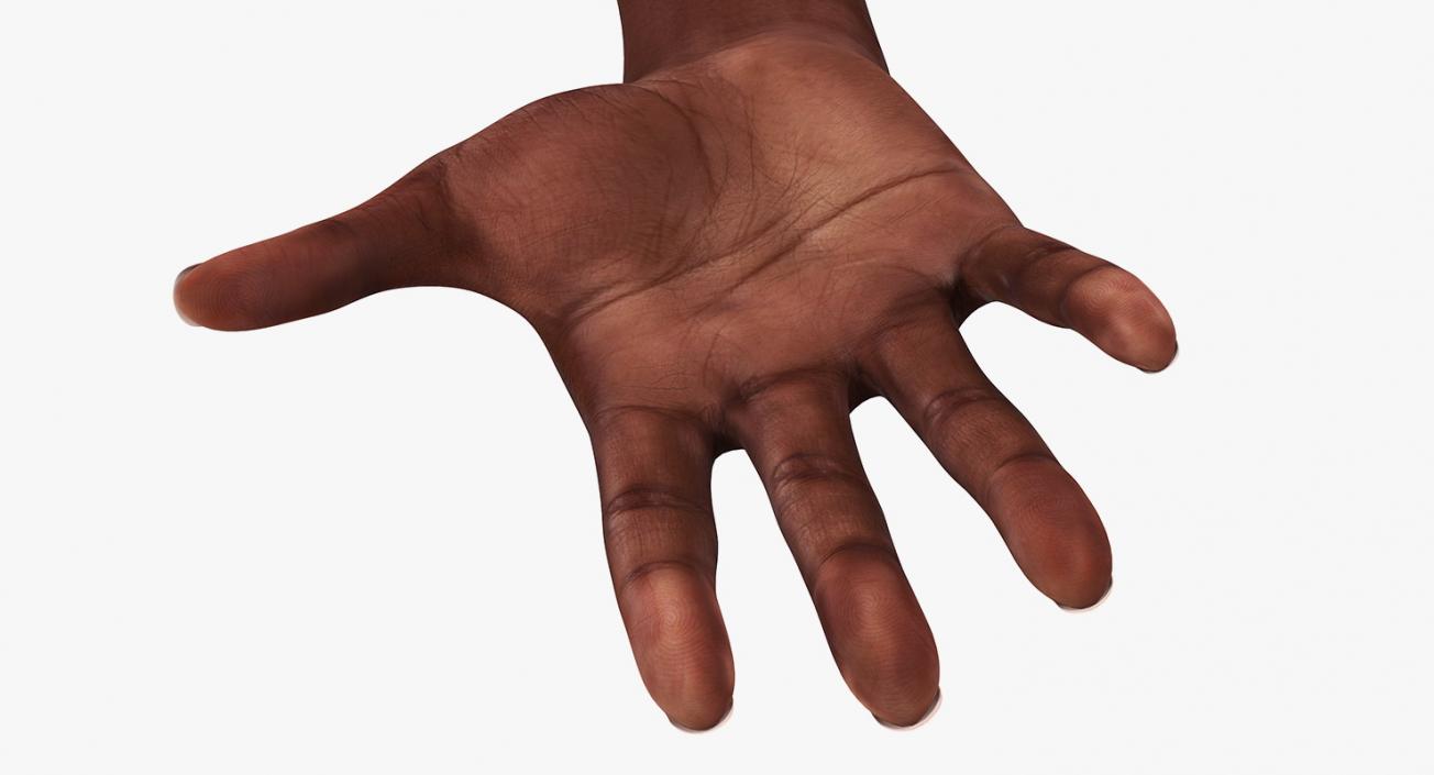 African Female Hand 3D model