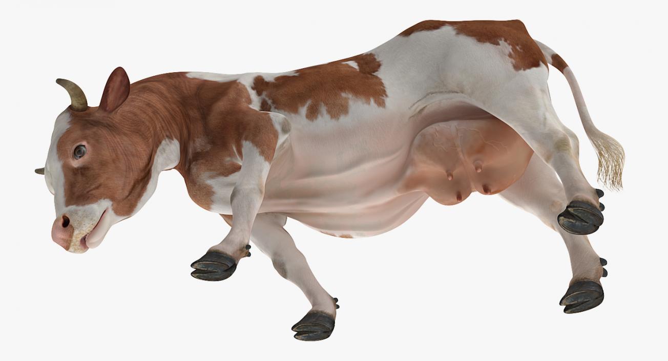 Holstein Cow Eating Pose 3D model