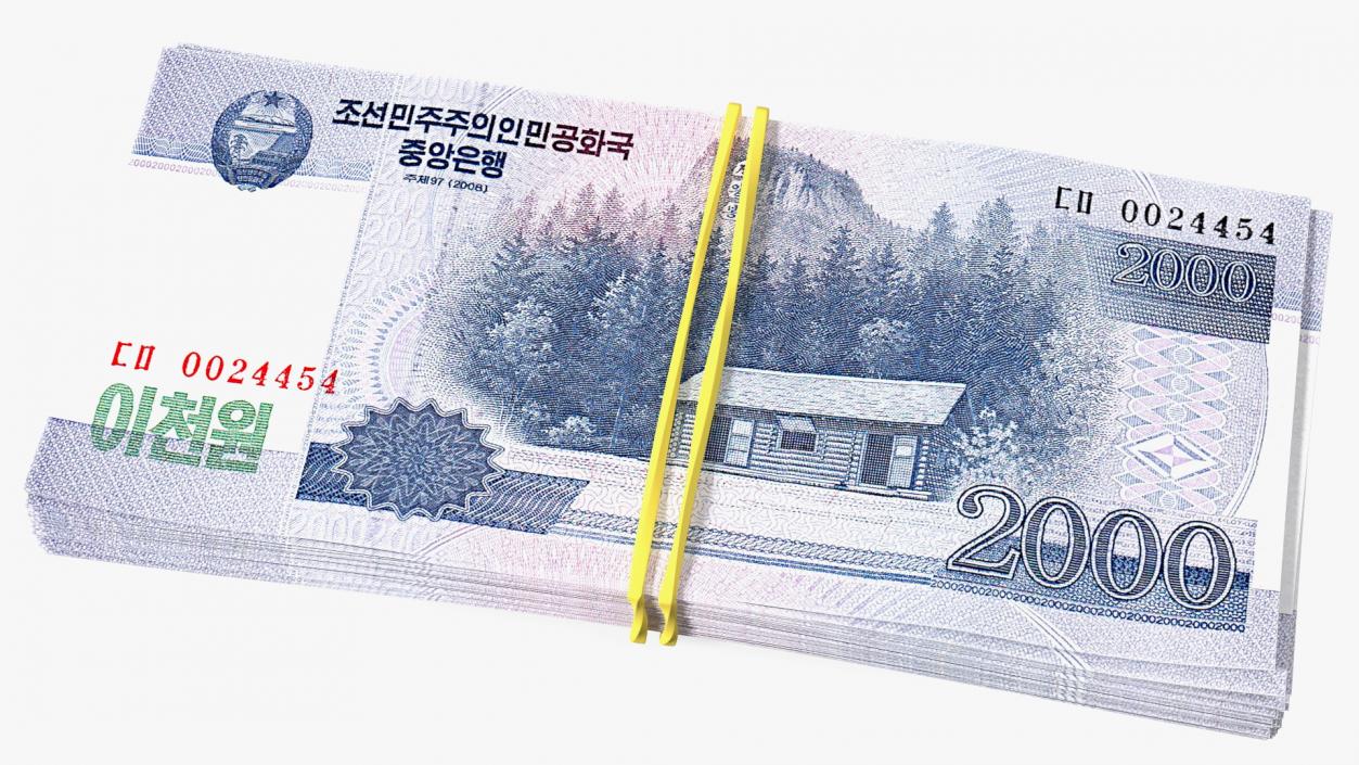 3D Rubber Band Stack of North Korea 2000 Won