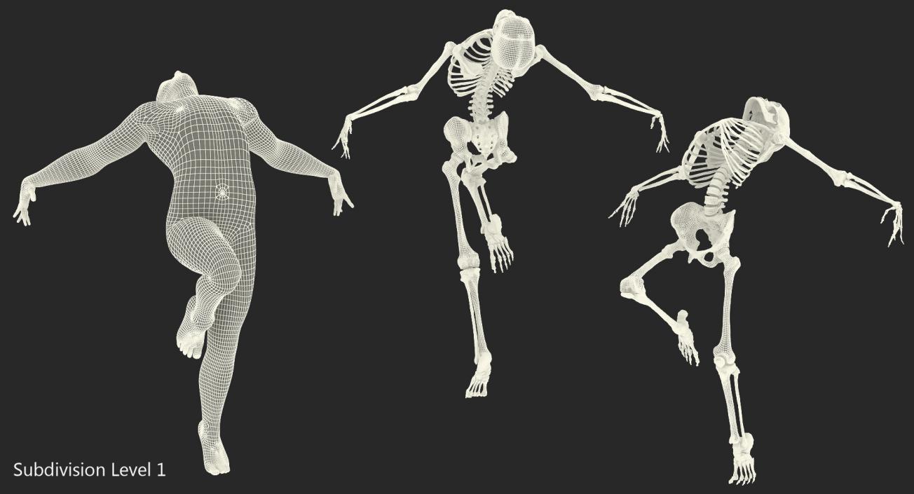 3D model Male Body with Skeleton Ballet Pose