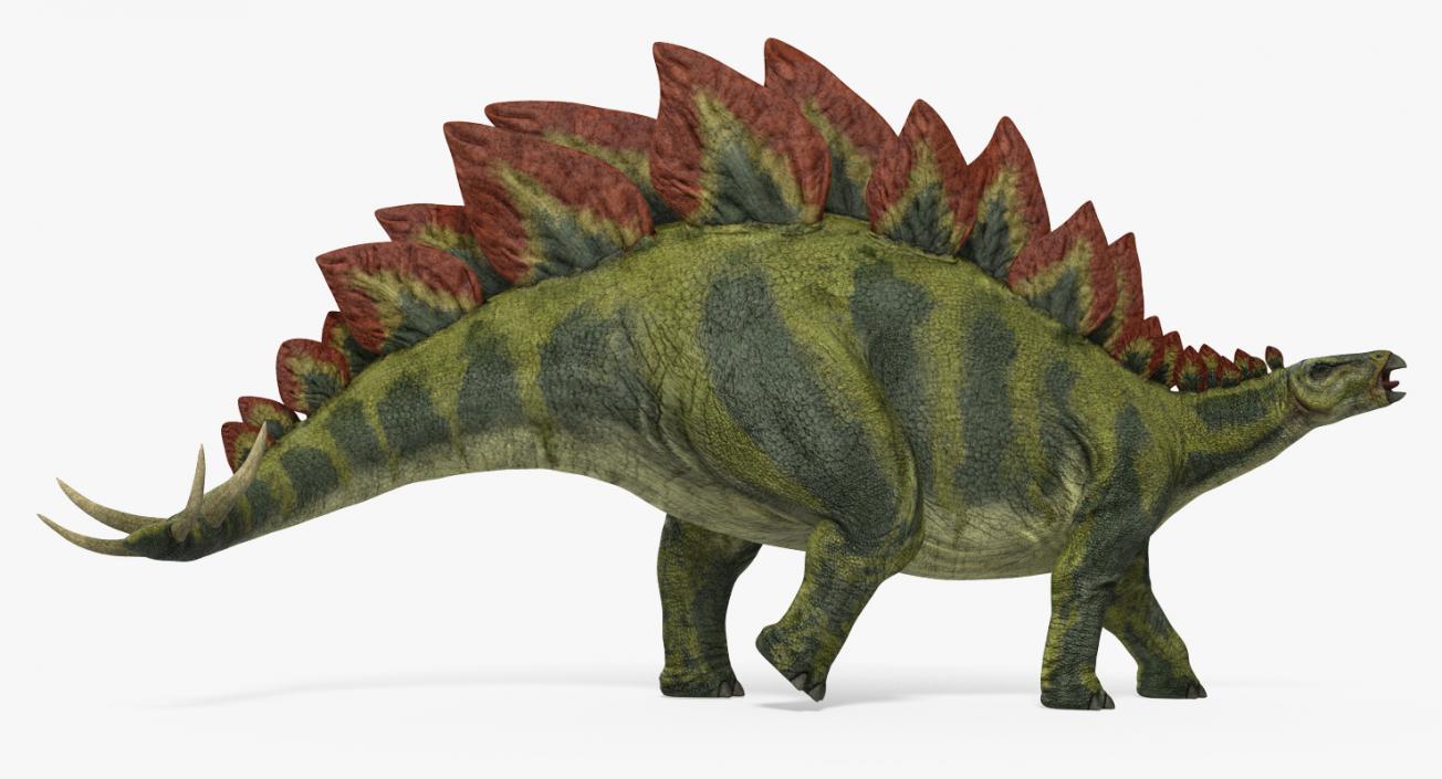 Stegosaurus Walking Pose 3D model