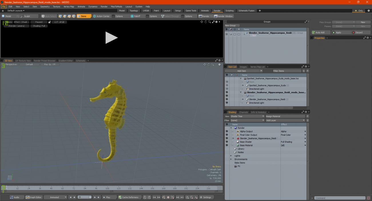Slender Seahorse Hippocampus Reidi 3D model