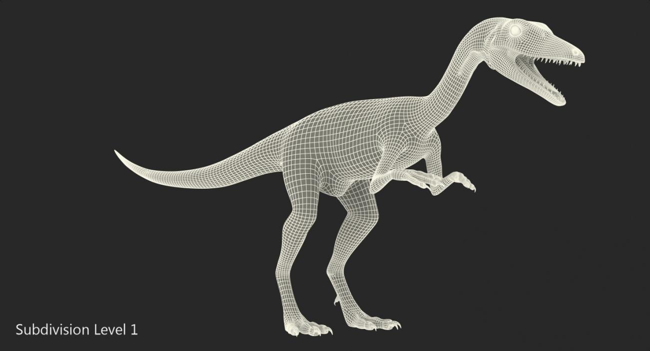 Compsognathus Carnivorous Dinosaur 3D model