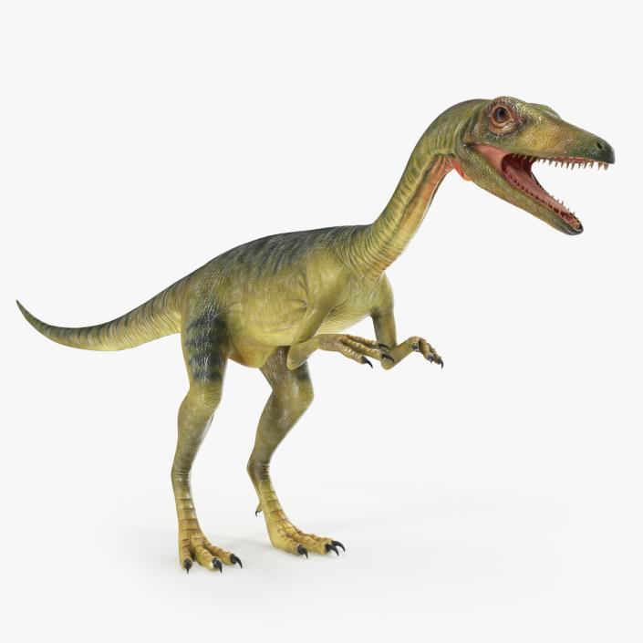 Compsognathus Carnivorous Dinosaur 3D model