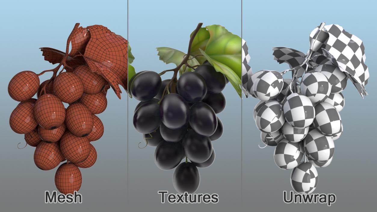Bunch of Fresh Black Grapes 3D