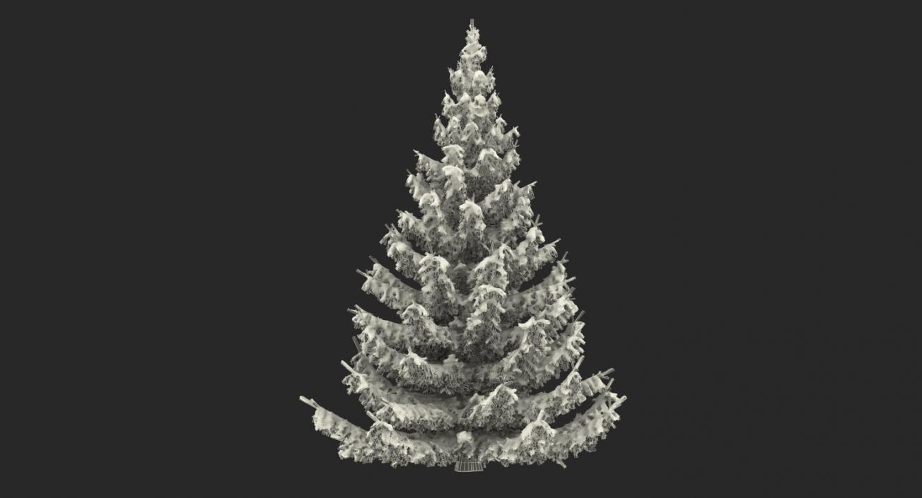 Spruce Tree Covered with Snow 3D model