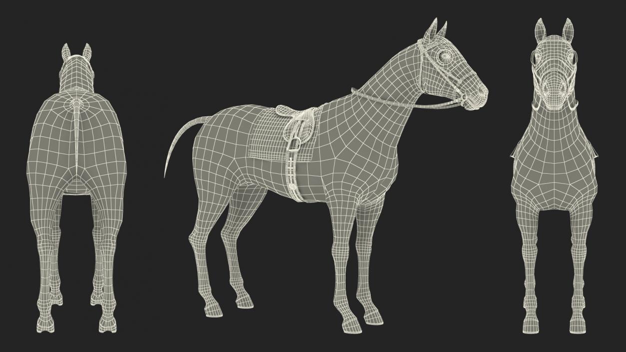 3D model Bay Racehorse Rigged