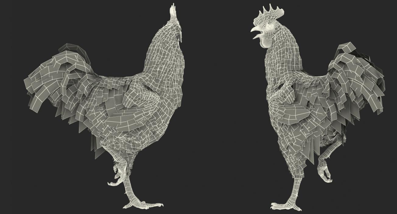 Brown Hen Standing on one Leg 3D model