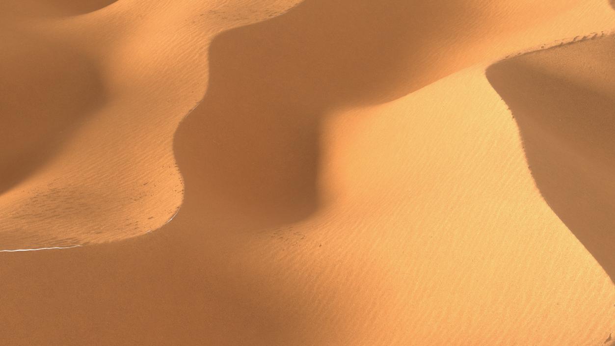 Sand Dune 3D model