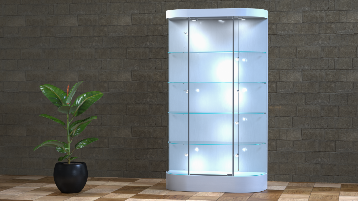 3D model Curved Wall Display Case White