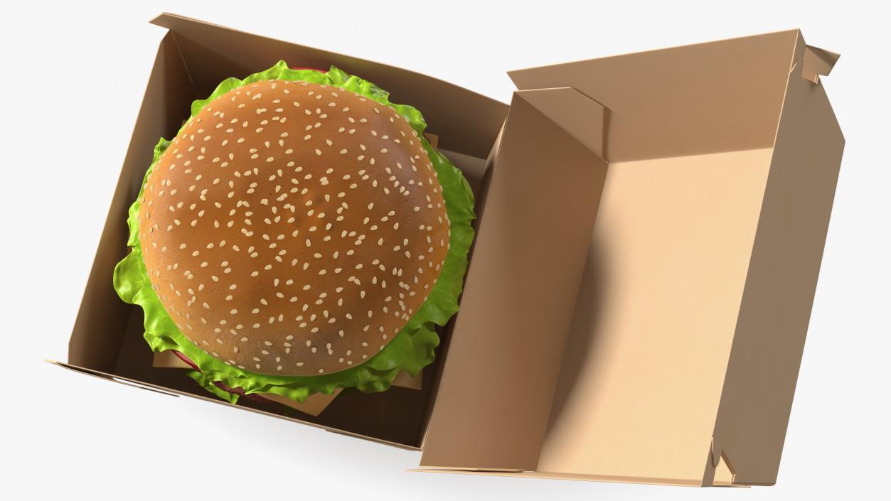 3D Burger Box Brown with Hamburger