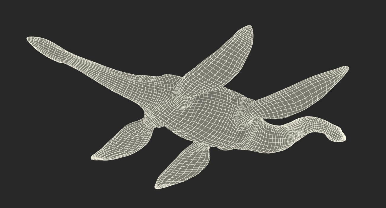 3D Plesiosauria Marine Reptile Dinosaur