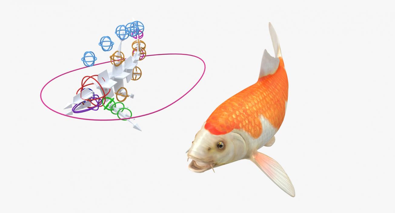 Harivake Koi Fish Rigged 3D model