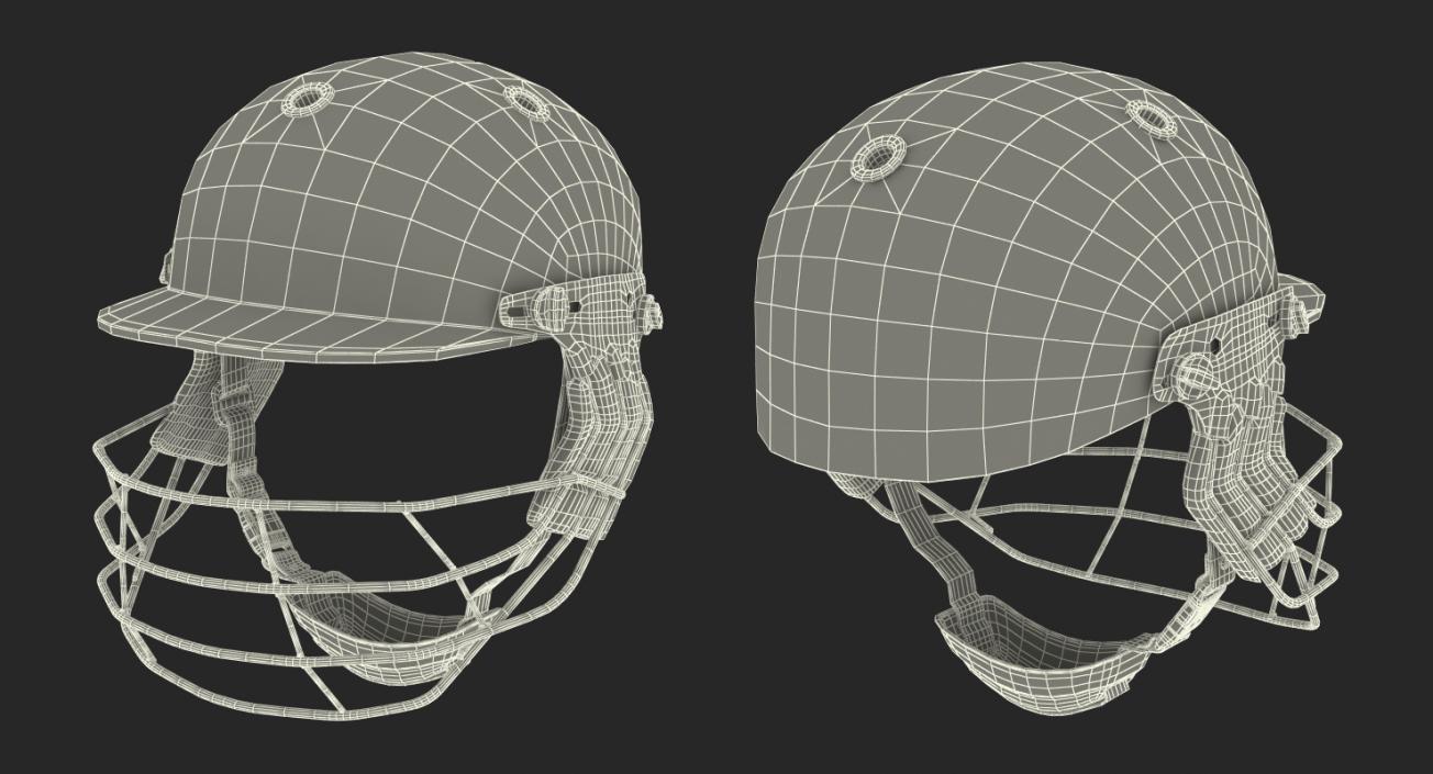 Cricket Helmet Generic 3D