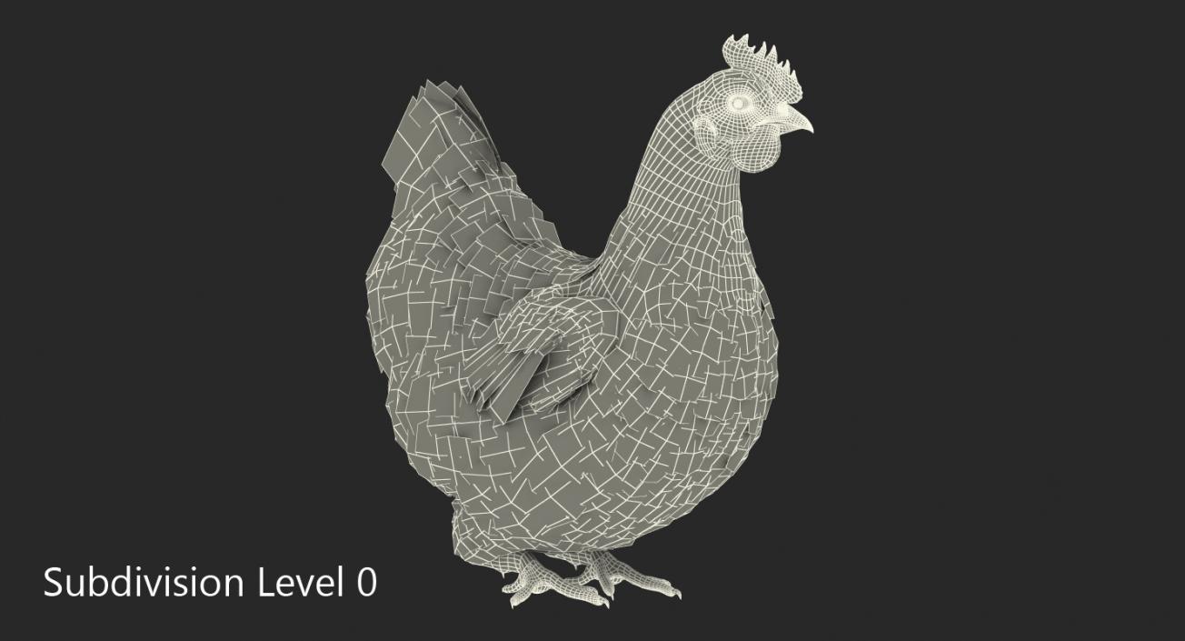3D model Brown Chicken Siting Pose