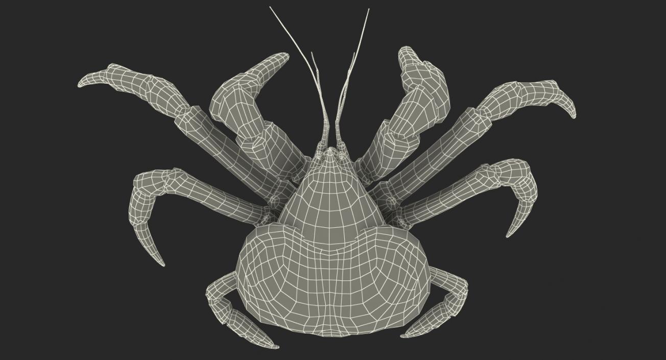 Robber Crab Walking Pose 3D model