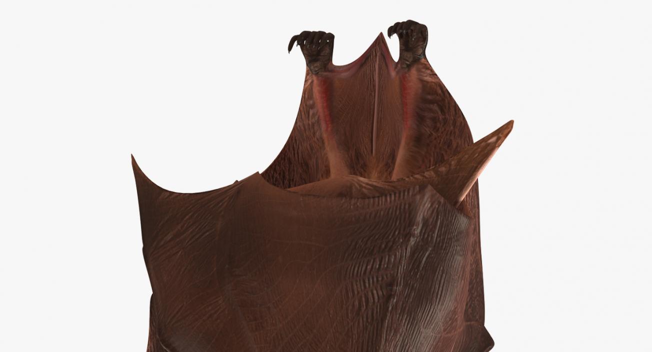 3D Hanging Bat