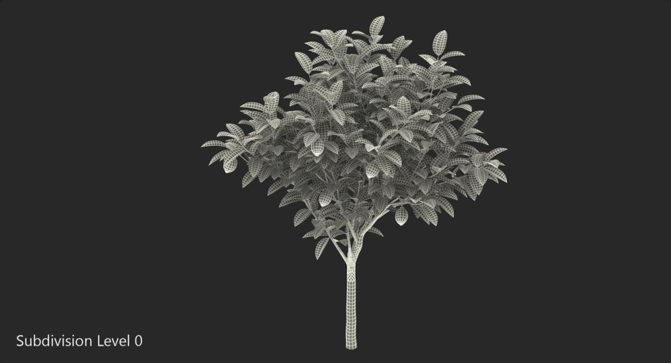 3D Small Lemon Tree