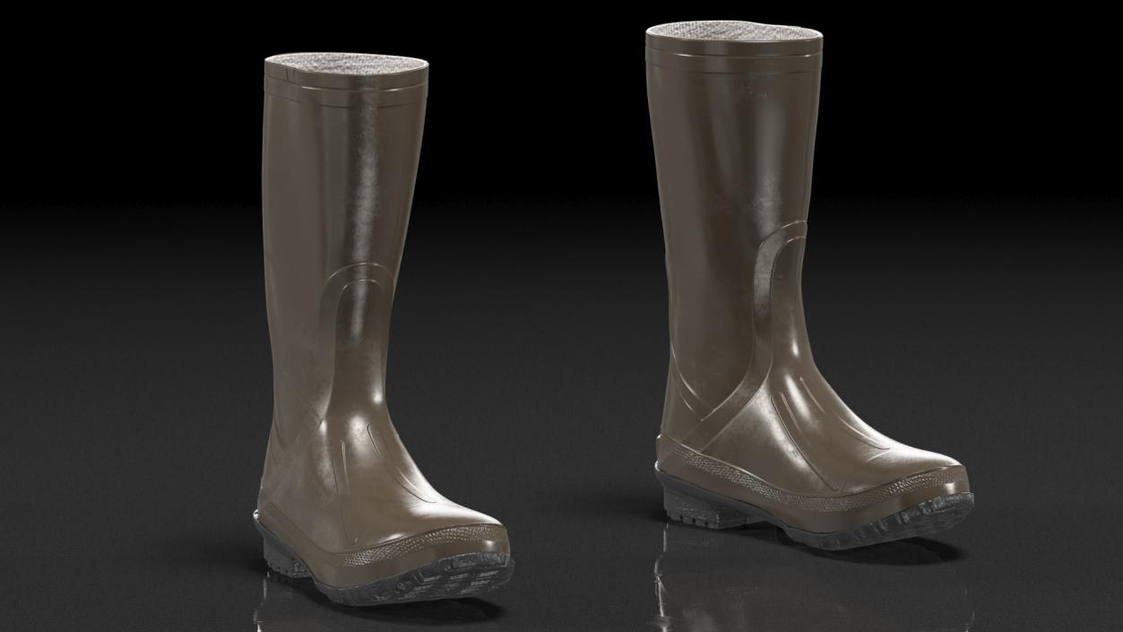 3D Waterproof Rubber Boots model