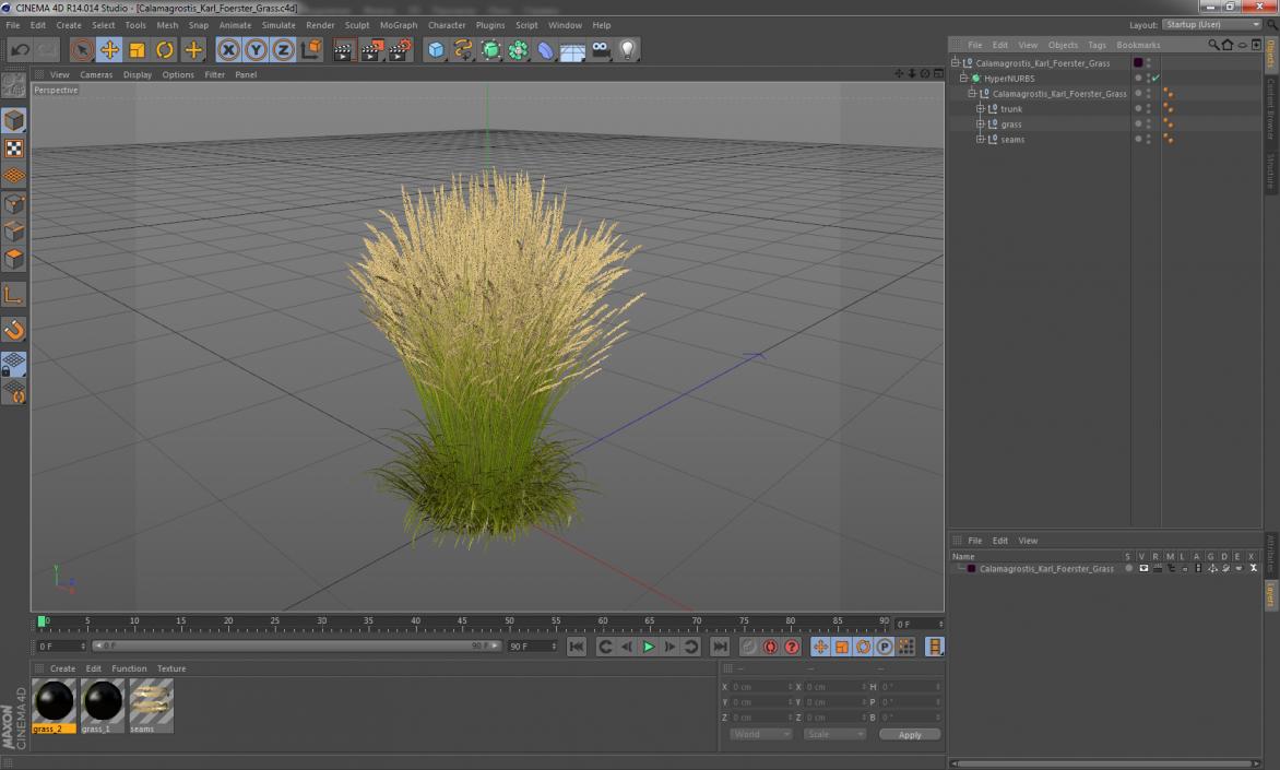 3D Calamagrostis Karl Foerster Grass model