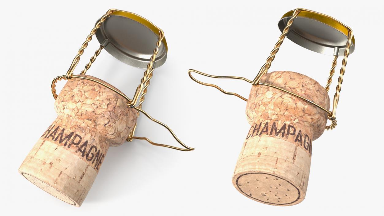 3D model Champagne Bottle Cork Lying Yellow Metal Wire