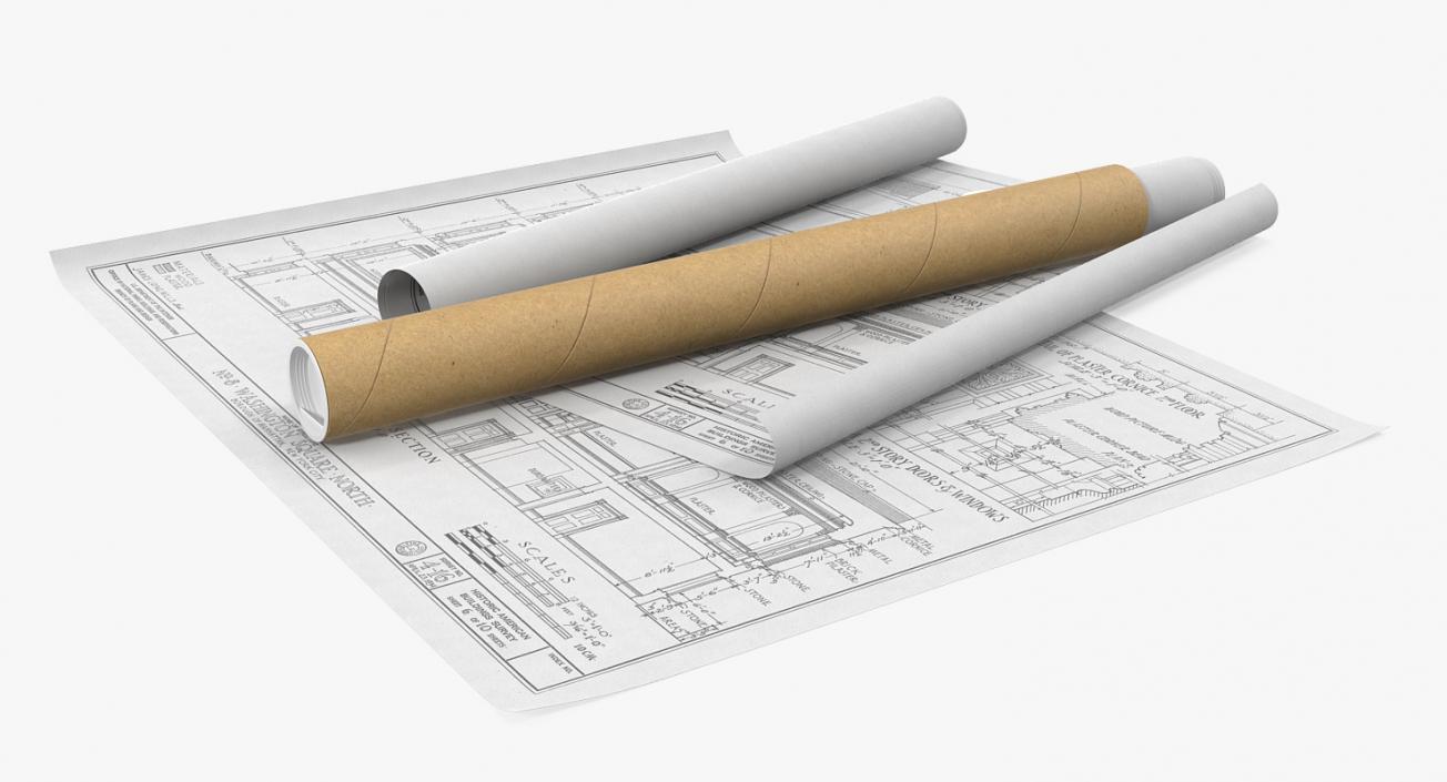 3D House Blueprints with Cardboard Tube