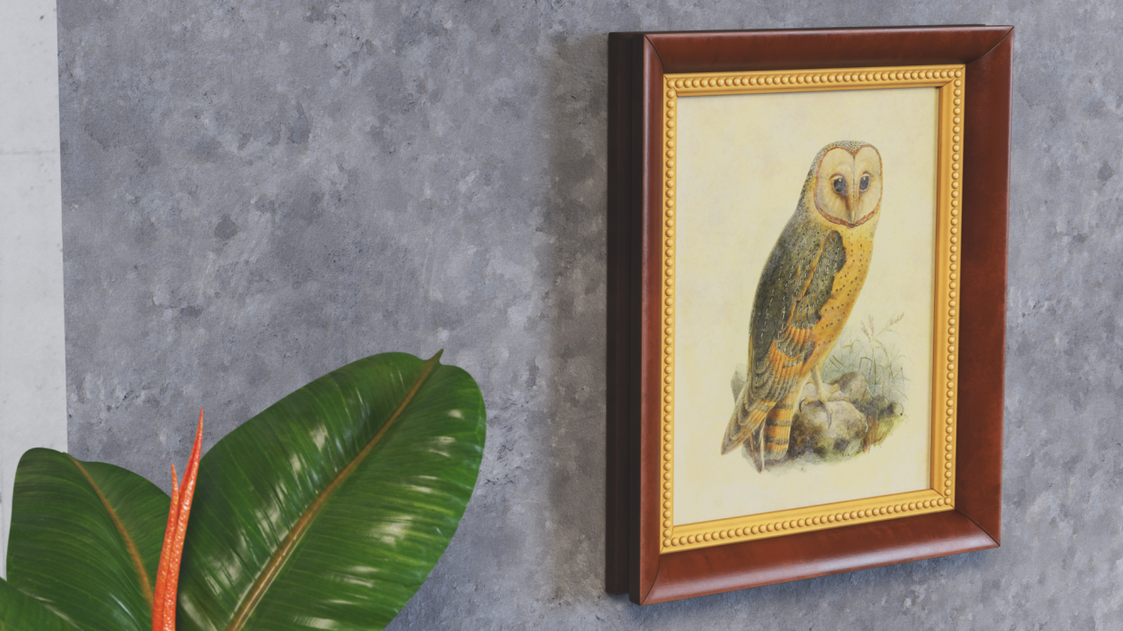 3D Owl Picture in Vintage Frame model