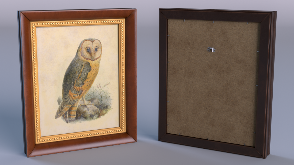 3D Owl Picture in Vintage Frame model