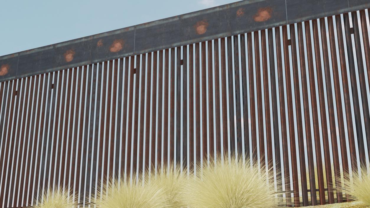 Trump Border Wall 3D