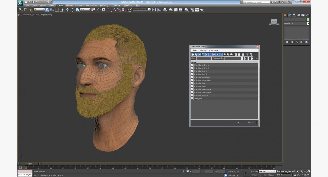 3D model Male Head 7 with Fur
