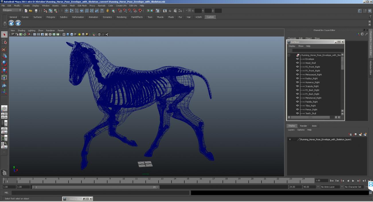 3D Running Horse Pose Envelope with Skeleton