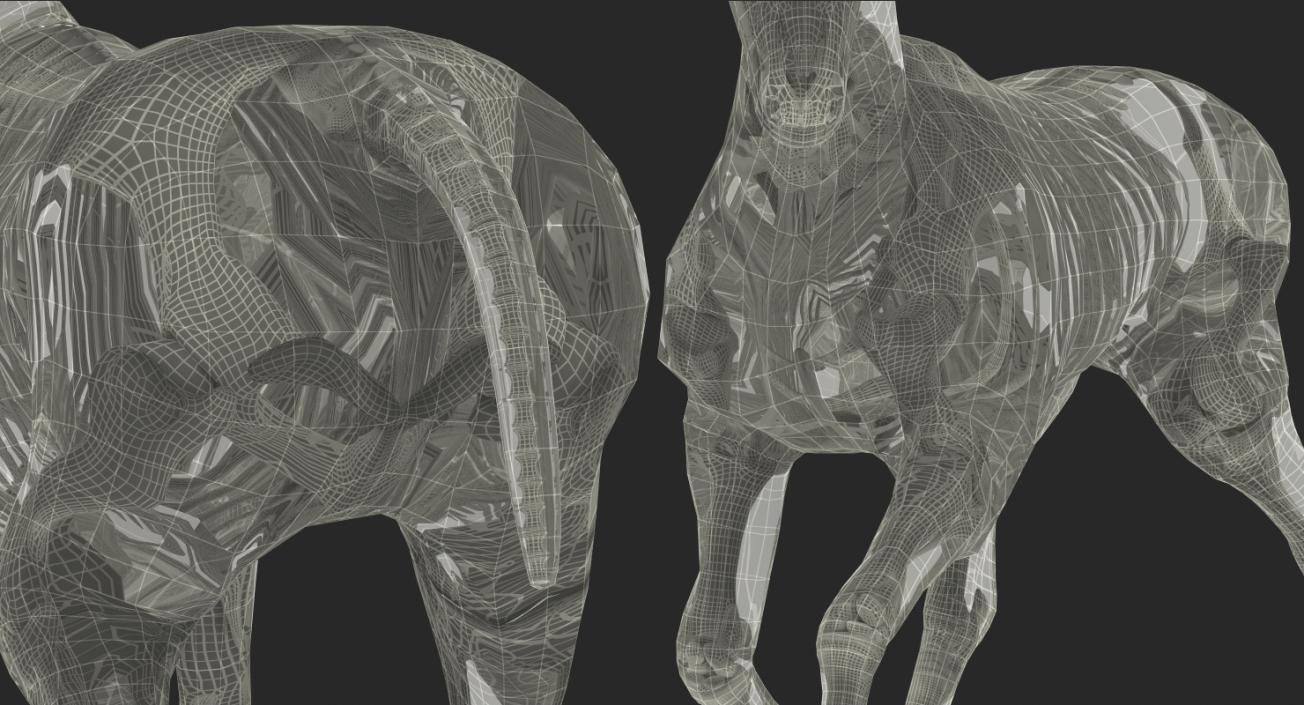 3D Running Horse Pose Envelope with Skeleton