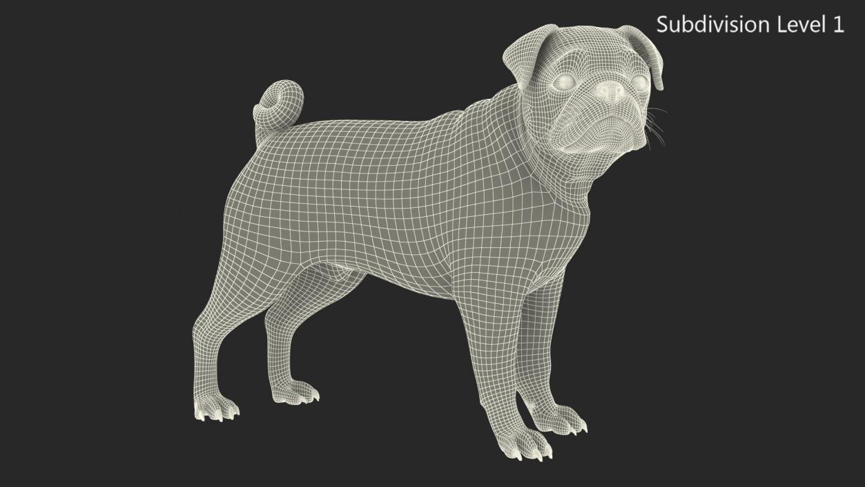 3D Pug Dog Fur